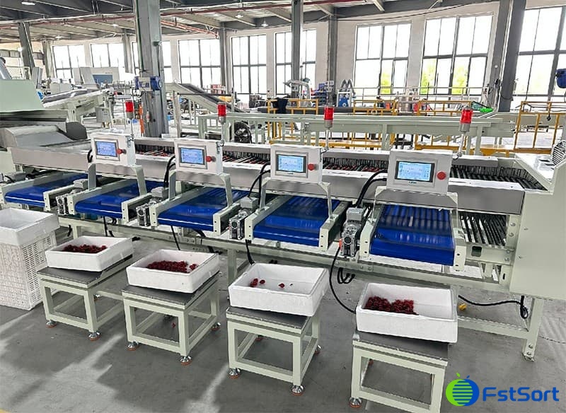 images/1703491779019cherry tomato grading equipment.jpg